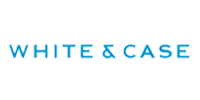 logo white